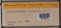 Image Associated With the Occurence